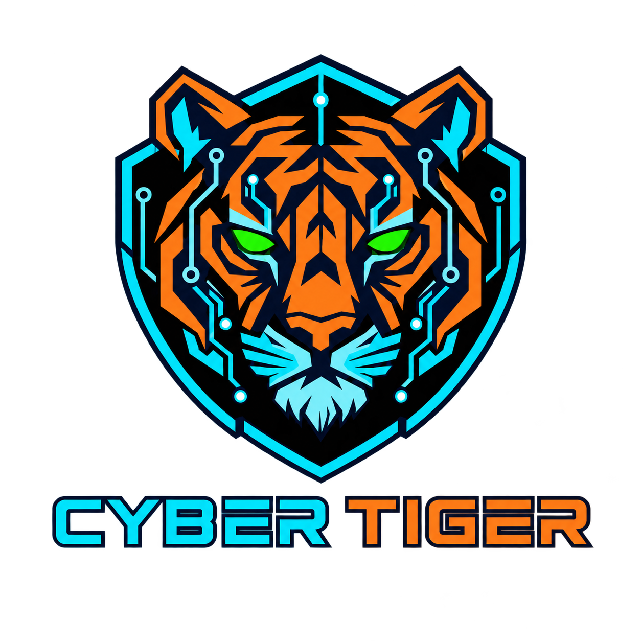 Cyber Tiger MSP