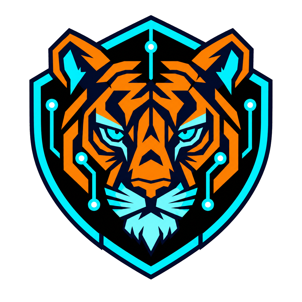 Cyber Tiger MSP
